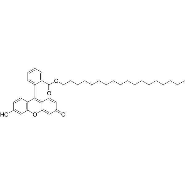 Fluorescein octadecyl ester 138833-46-2